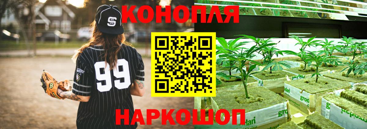 Канабис Amnesia  Шишки марихуана планчик  Вход с VPN  Бошки марихуана сатива  Чебоксары  Бошки Шишки LSD WEED 